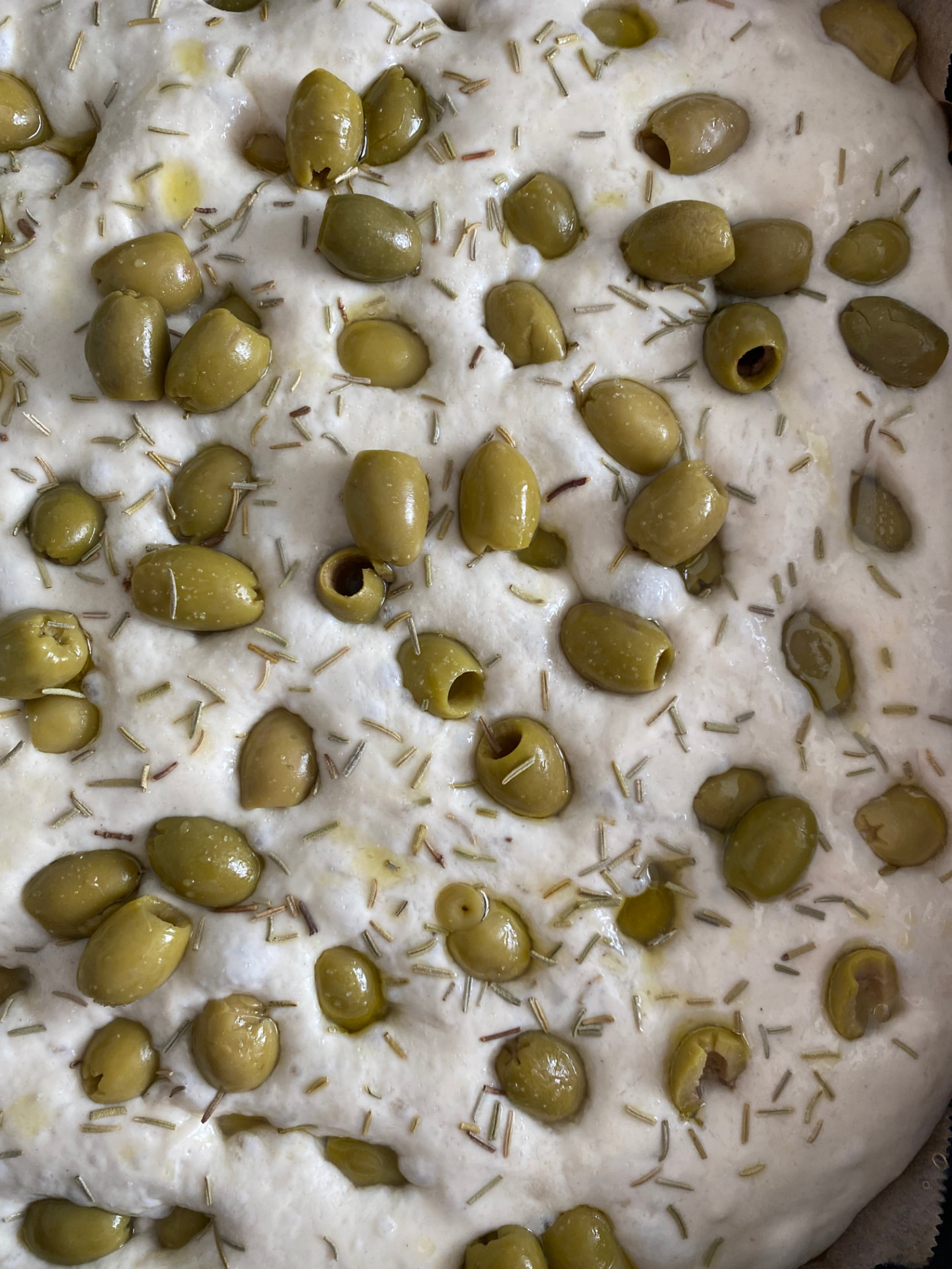 Focaccia crue garnie d'olives vertes et de romarin avant cuisson